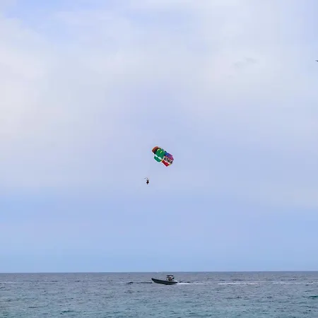 Alicantan Vital Experience *