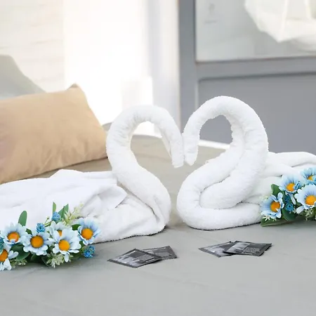 Alicantan Vital Experience * لقنت