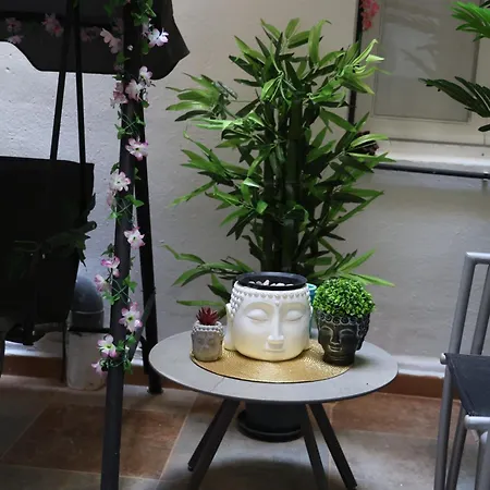 Alicantan Vital Experience لقنت