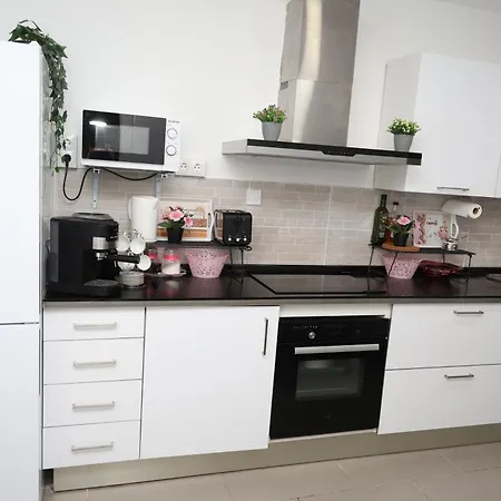 Alicantan Vital Experience لقنت