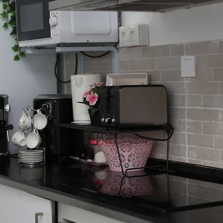 Alicantan Vital Experience * لقنت