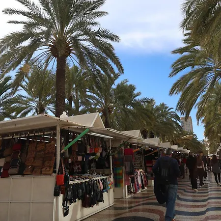 Alicantan Vital Experience