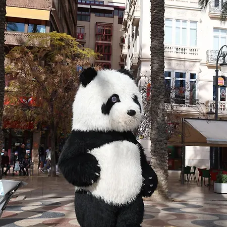 Alicantan Vital Experience منزل للإقامة