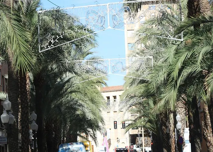 Alicantan Vital Experience *