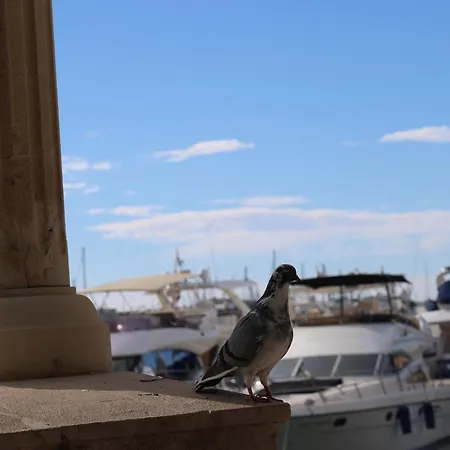 Séjour chez l'habitant Alicantan Vital Experience *