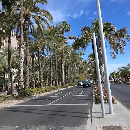 Séjour chez l'habitant Alicantan Vital Experience Alicante